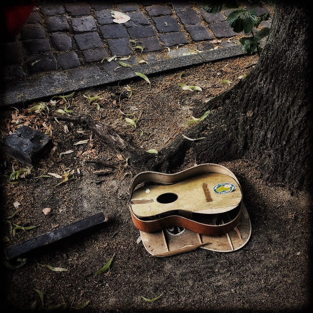 Roths unlustige Streiche II