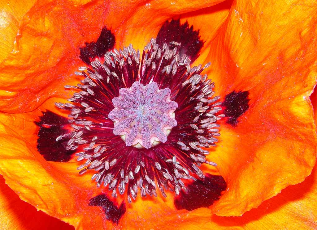 Mehr über den Artikel erfahren Google wird unterschätzt – von allen Seiten. Oder die Frage: Wo kommen die Bots her und wo geht die Meinungsfreiheit hin