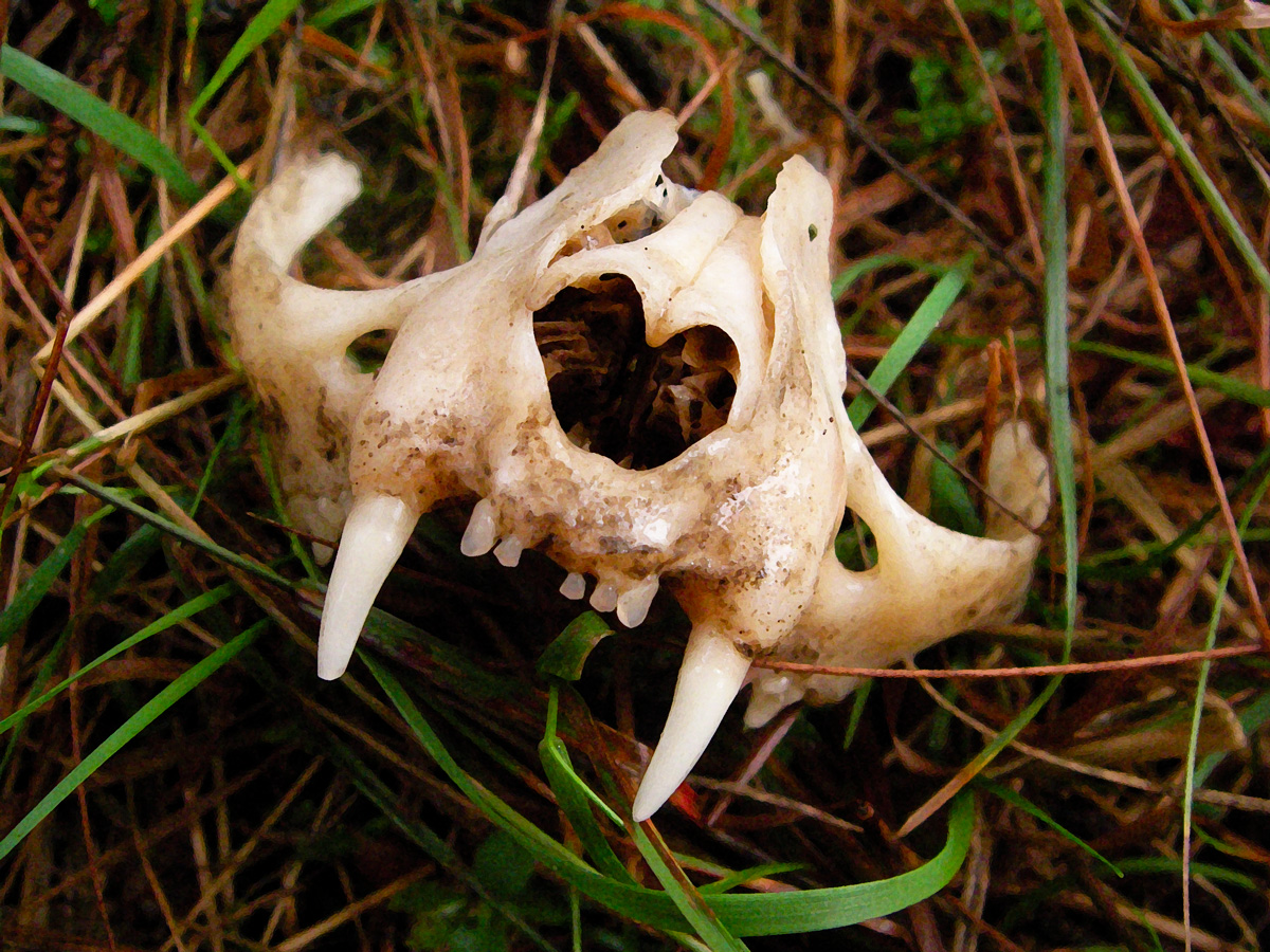 Mehr über den Artikel erfahren Urlaub auf Facebook