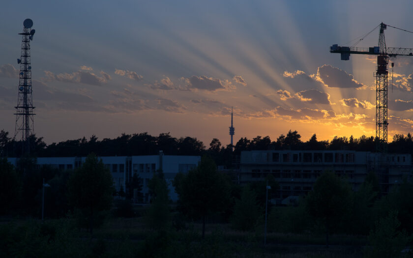 Manchen fehlen die Antennen. Foto: Hufner