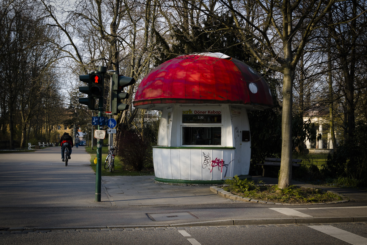 Mehr über den Artikel erfahren funghi doener – Fleischpilz
