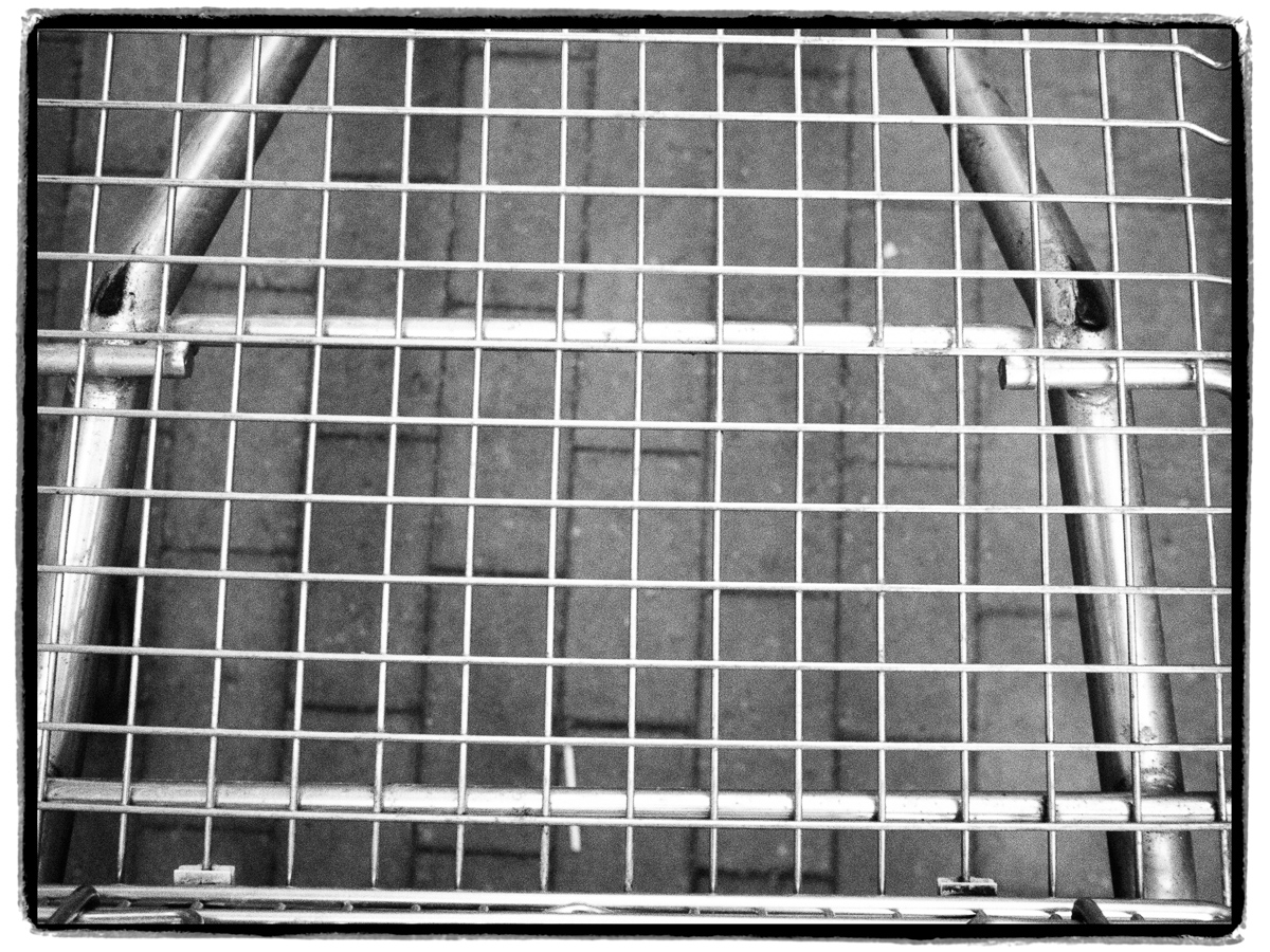 Mehr über den Artikel erfahren Künstler und Politik