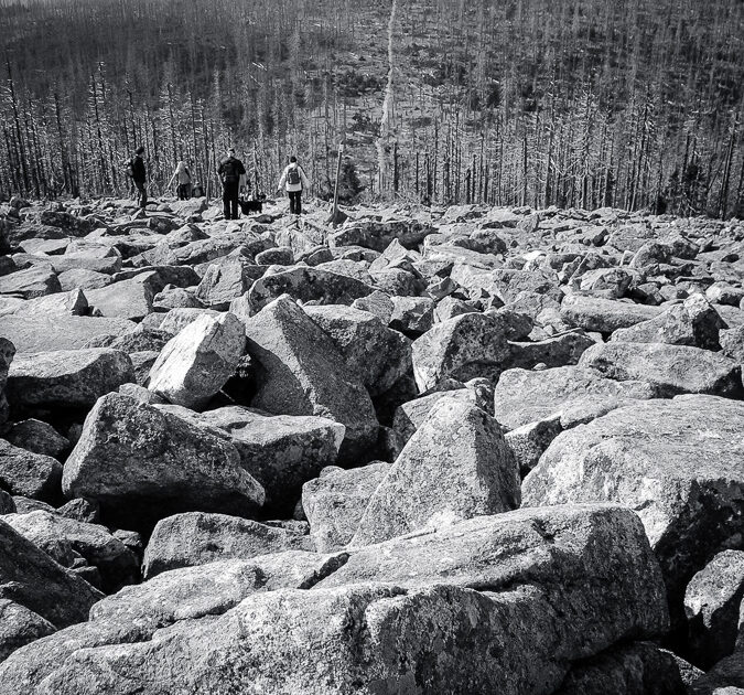 Blick vom Gipfel in die Niederungen eines toten Waldes. Foto: Hufner
