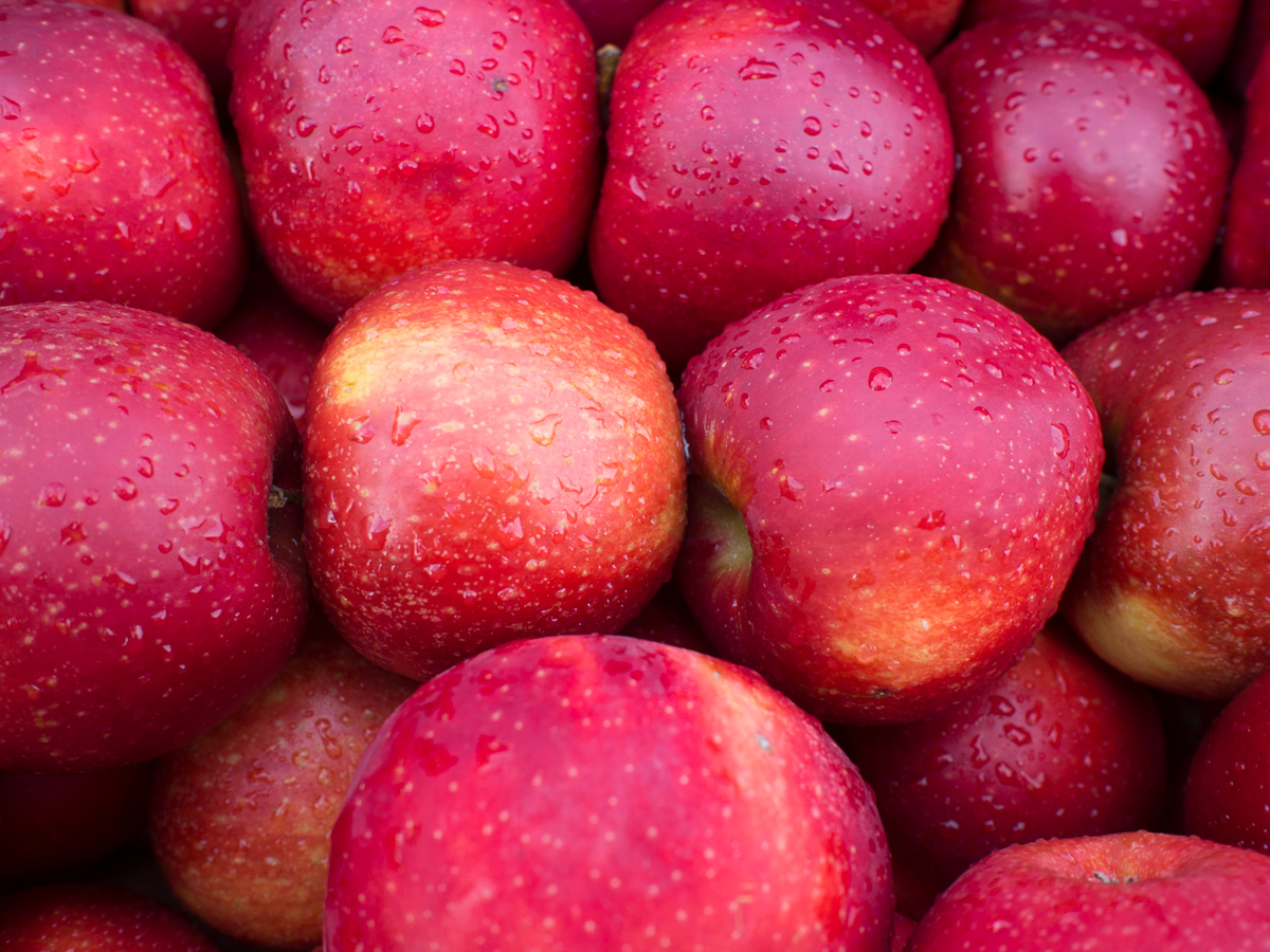 Mehr über den Artikel erfahren Die Dinge – Theorie der Viel- in der Einfalt