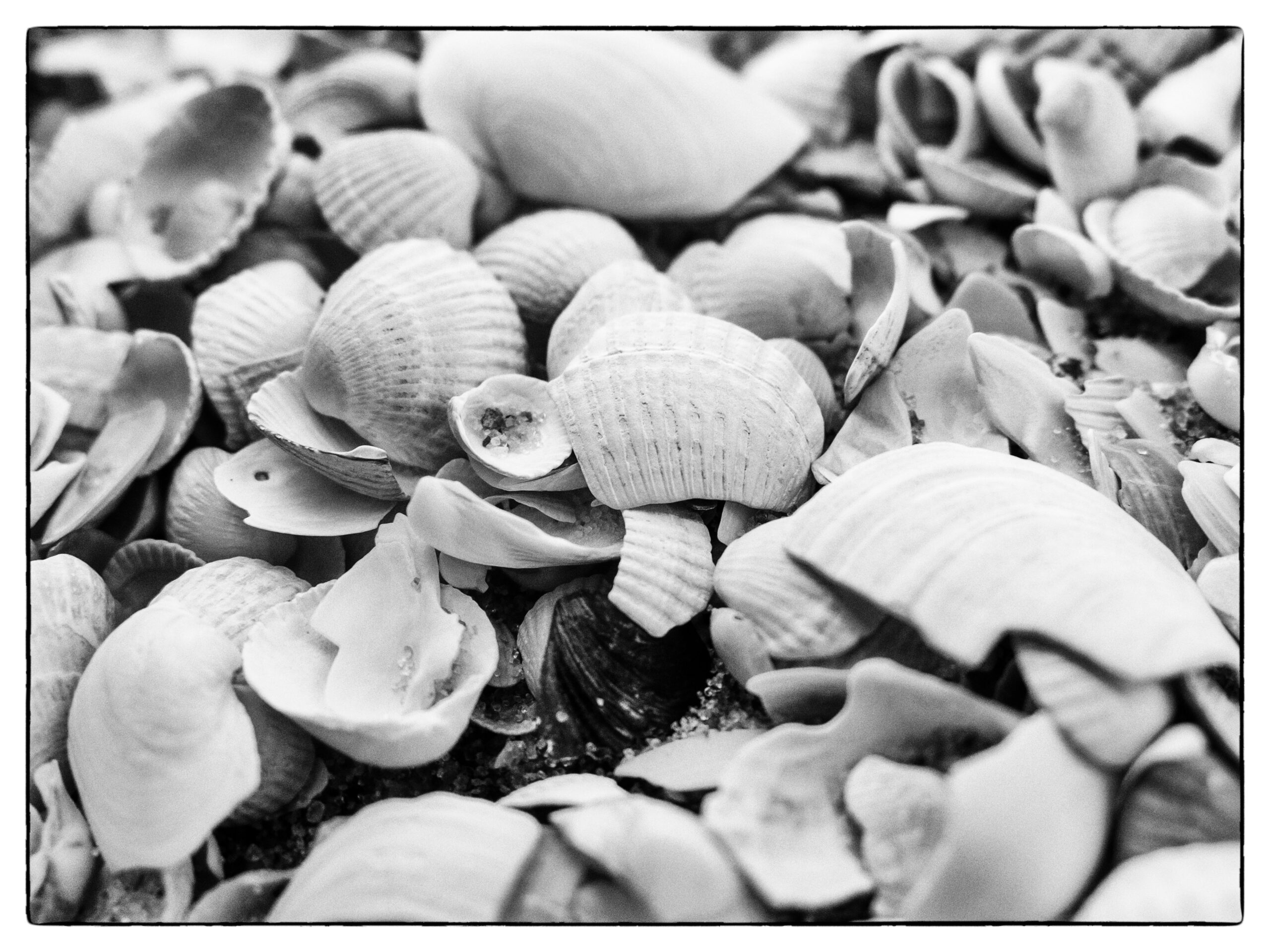 Mehr über den Artikel erfahren Variation über einen Satz von Niels Bohr