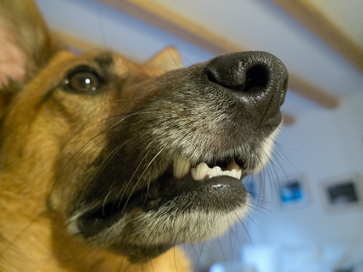 Mehr über den Artikel erfahren Schwarze Pädagogik