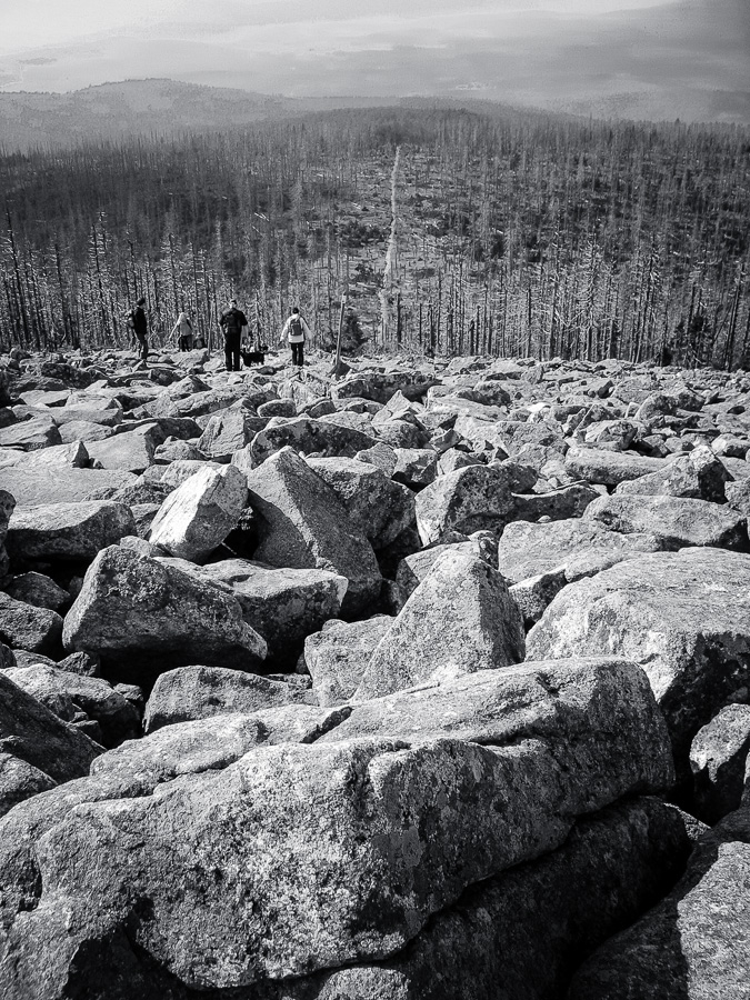 Mehr über den Artikel erfahren Verzweiflung an den Blogs und ©