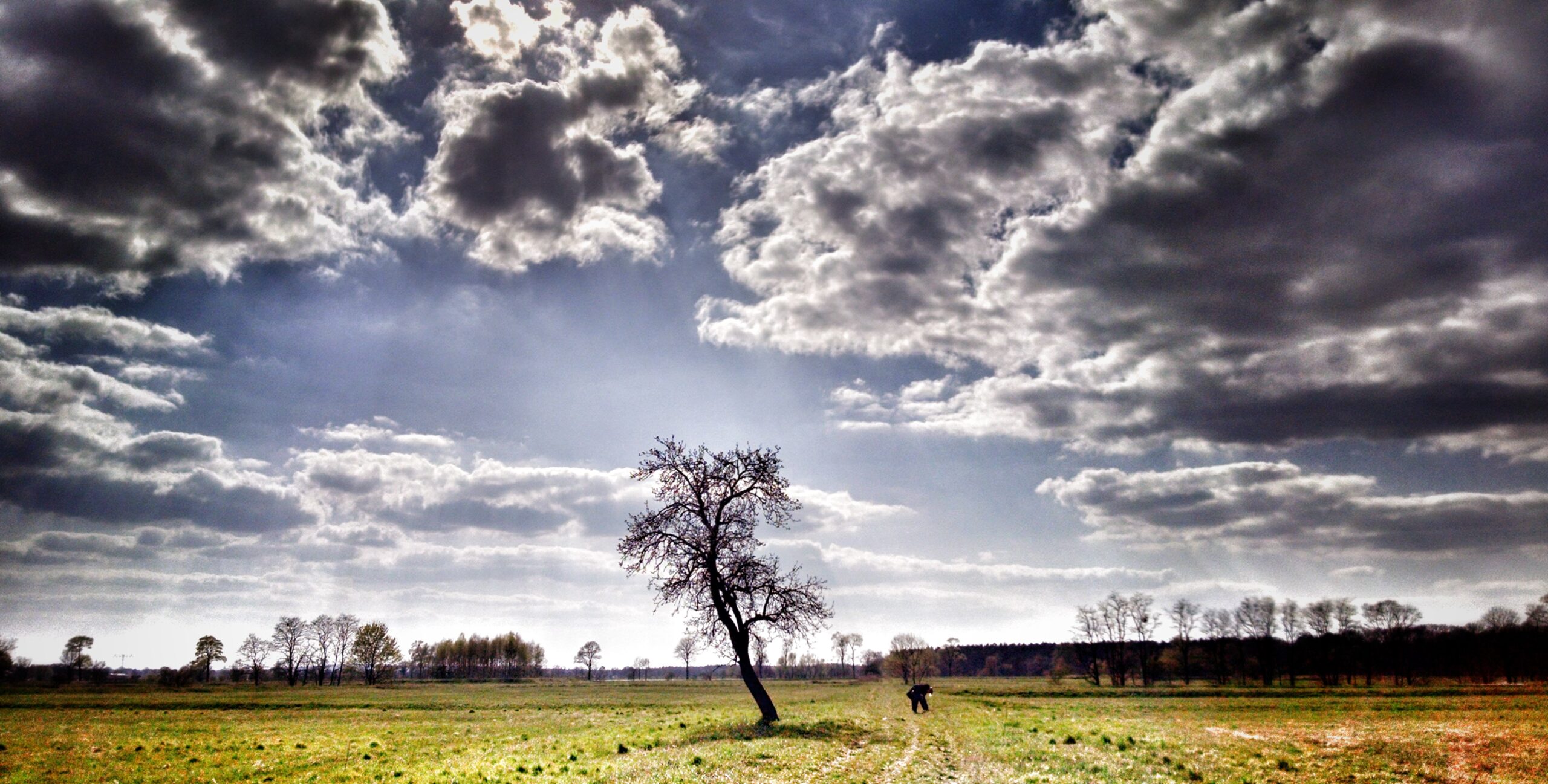 Mehr über den Artikel erfahren Ekel – Das Werdende
