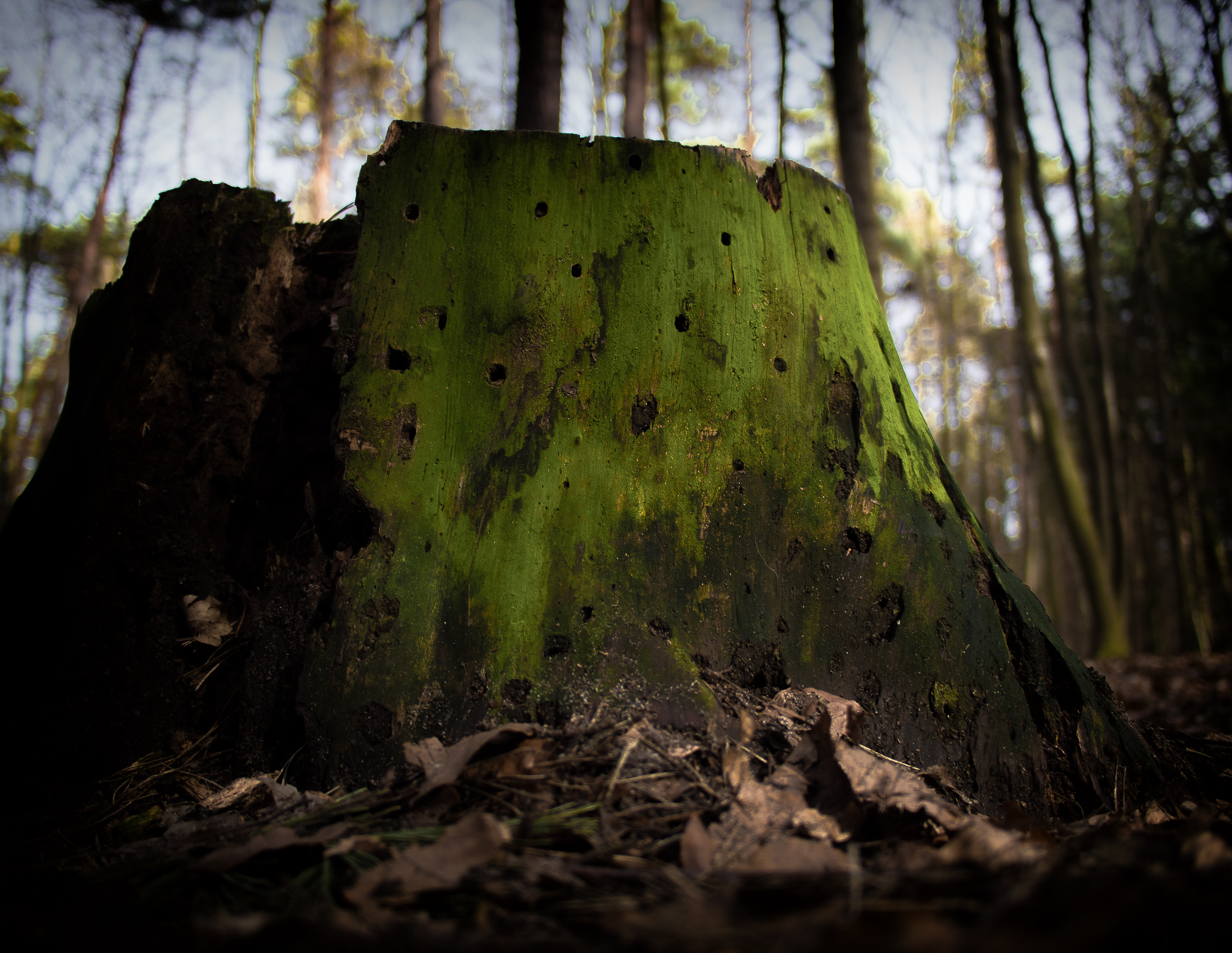 Du betrachtest gerade „Freiheit ist die Lebensluft der Universität“ (Jaspers 1947)