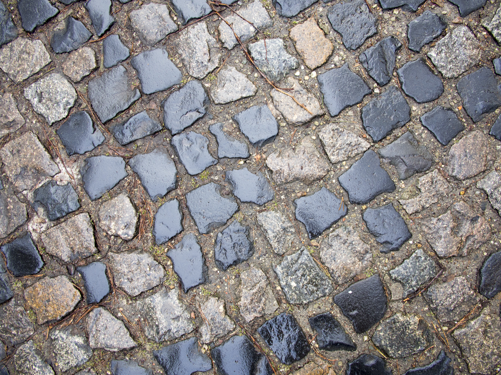 Mehr über den Artikel erfahren Nachtrag zu Lauer und der Netzpolitik