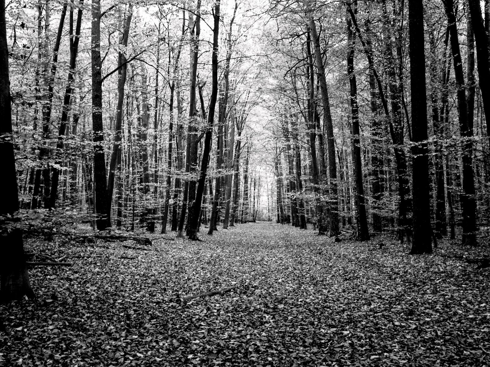 Mehr über den Artikel erfahren Zweckveranlasser und juristische Leseunlust