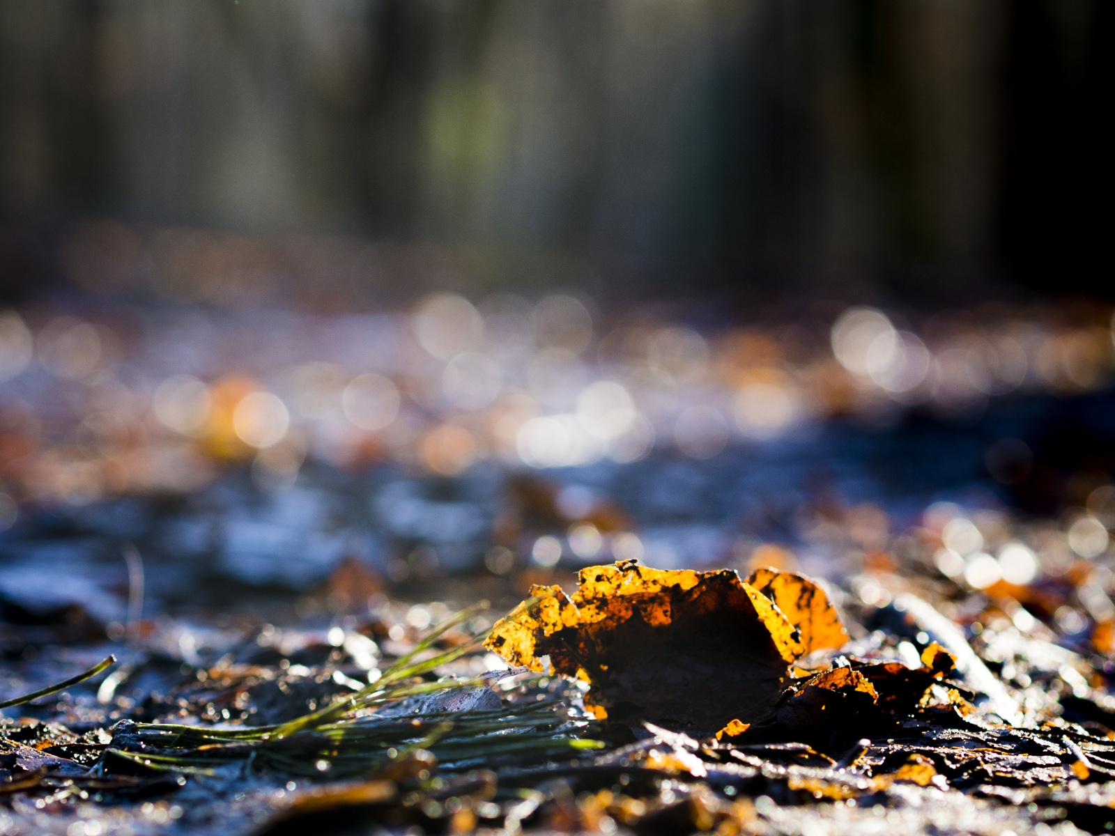 Mehr über den Artikel erfahren SPD – Unser Internet soll schöner werden