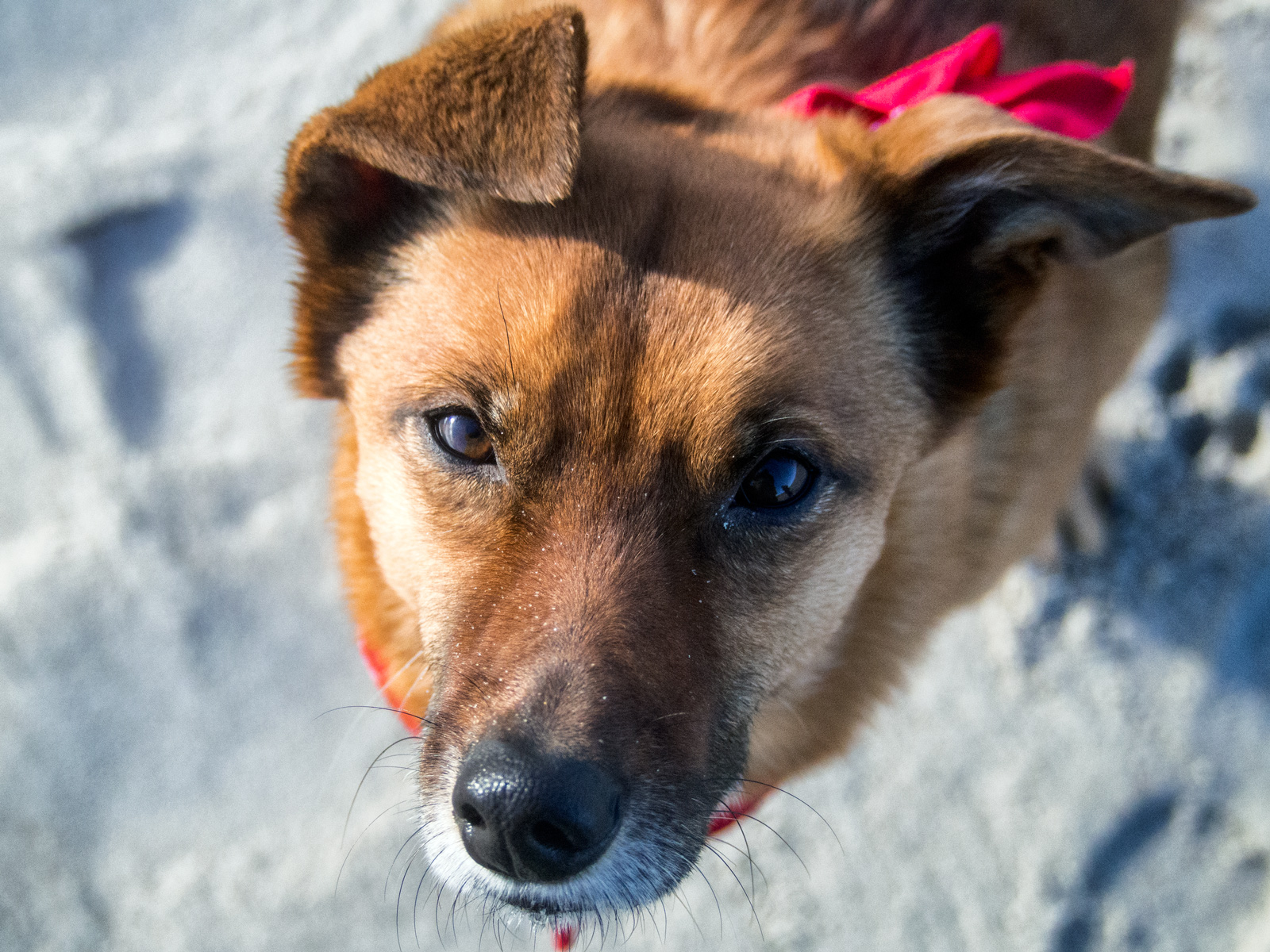 Mehr über den Artikel erfahren Hotpens