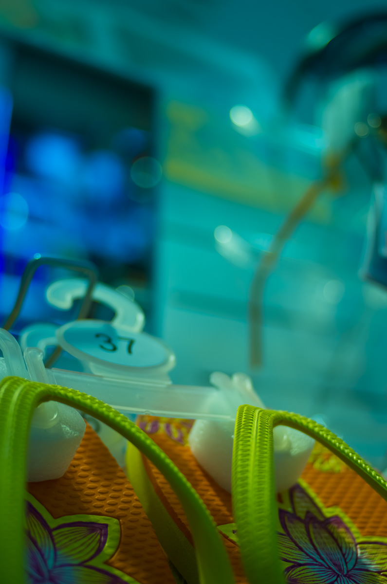 Mehr über den Artikel erfahren Doppelcharakter