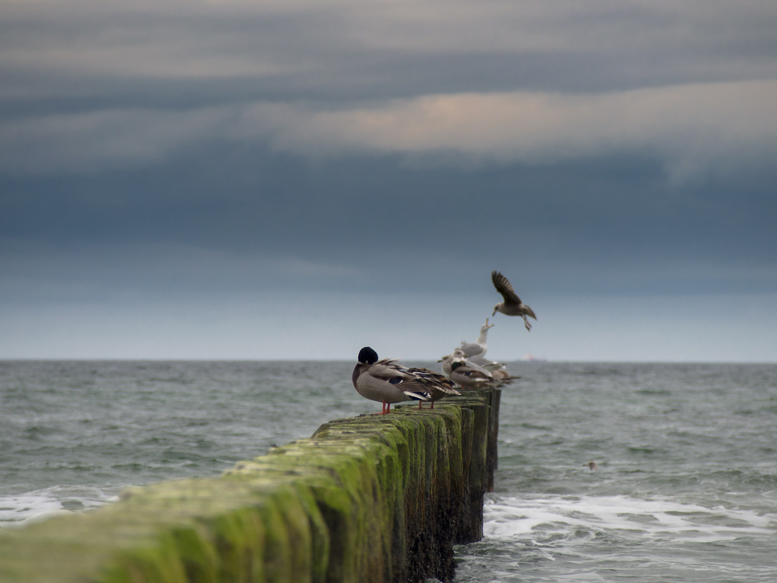 Mehr über den Artikel erfahren Das ziellose Ziel