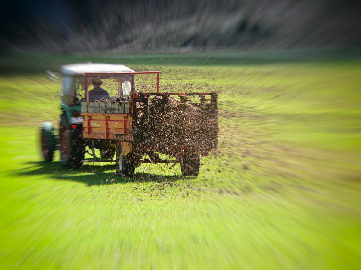 Mehr über den Artikel erfahren Handlungsfähigkeit des Staates legitimiert zu allem [Gauck’s Theory]