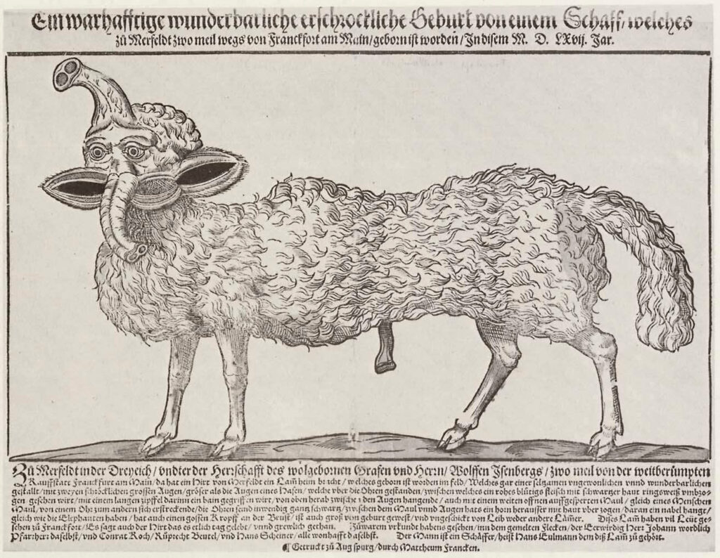 Matthäus Franck: Mißgestaltetes Schaf, geboren in Meersfeld bei Frankfurt. 1567, Holzschnitt, 27,5 × 37 cm. Zürich, Zentralbibliothek. Gedruckt von Matthäus Franck in Augsburg Matthäus Franck: Mißgestaltetes Schaf, geboren in Meersfeld bei Frankfurt. 1567, Holzschnitt, 27,5 × 37 cm. Zürich, Zentralbibliothek. Gedruckt von Matthäus Franck in Augsburg