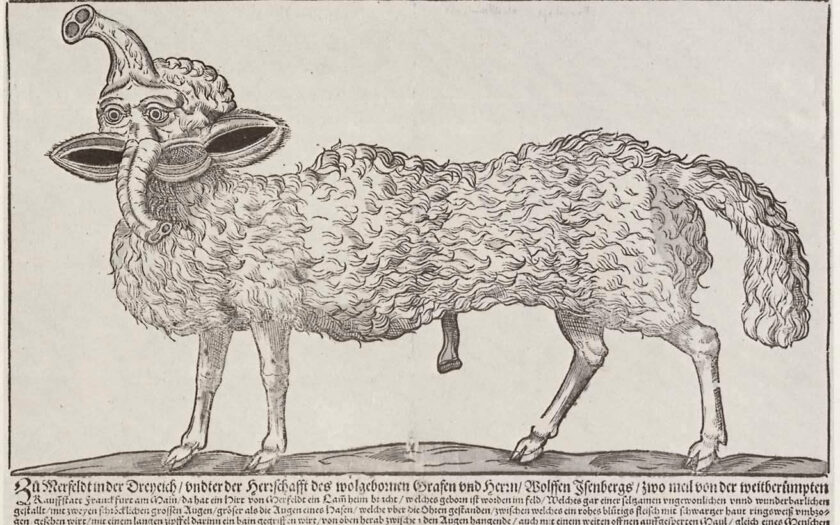 Matthäus Franck: Mißgestaltetes Schaf, geboren in Meersfeld bei Frankfurt. 1567, Holzschnitt, 27,5 × 37 cm. Zürich, Zentralbibliothek. Gedruckt von Matthäus Franck in Augsburg