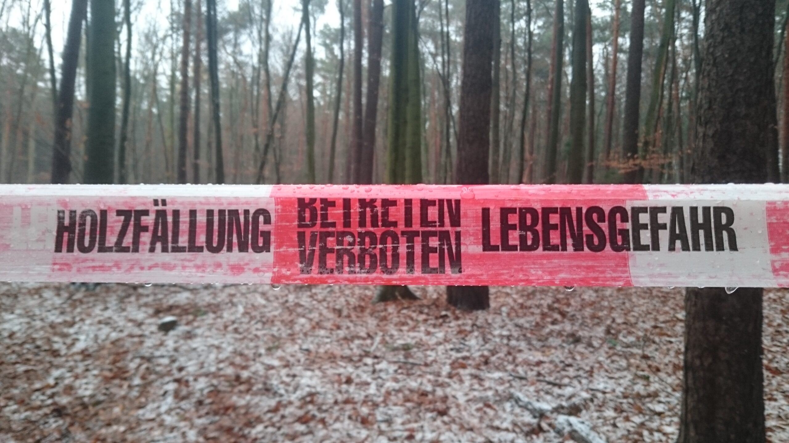 Mehr über den Artikel erfahren Bewährung ist Beschwerung