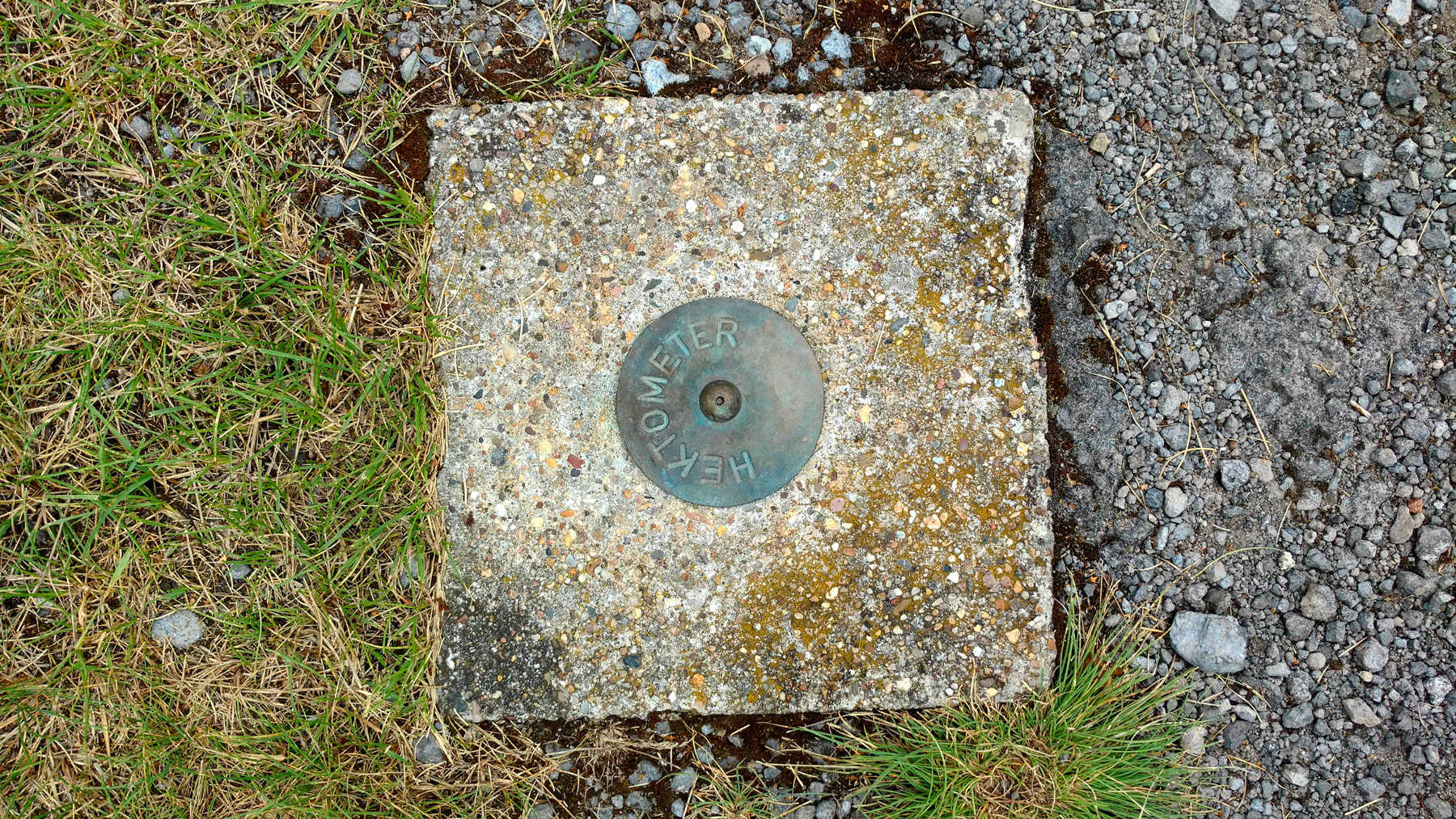 Mehr über den Artikel erfahren Dementia Digitalis