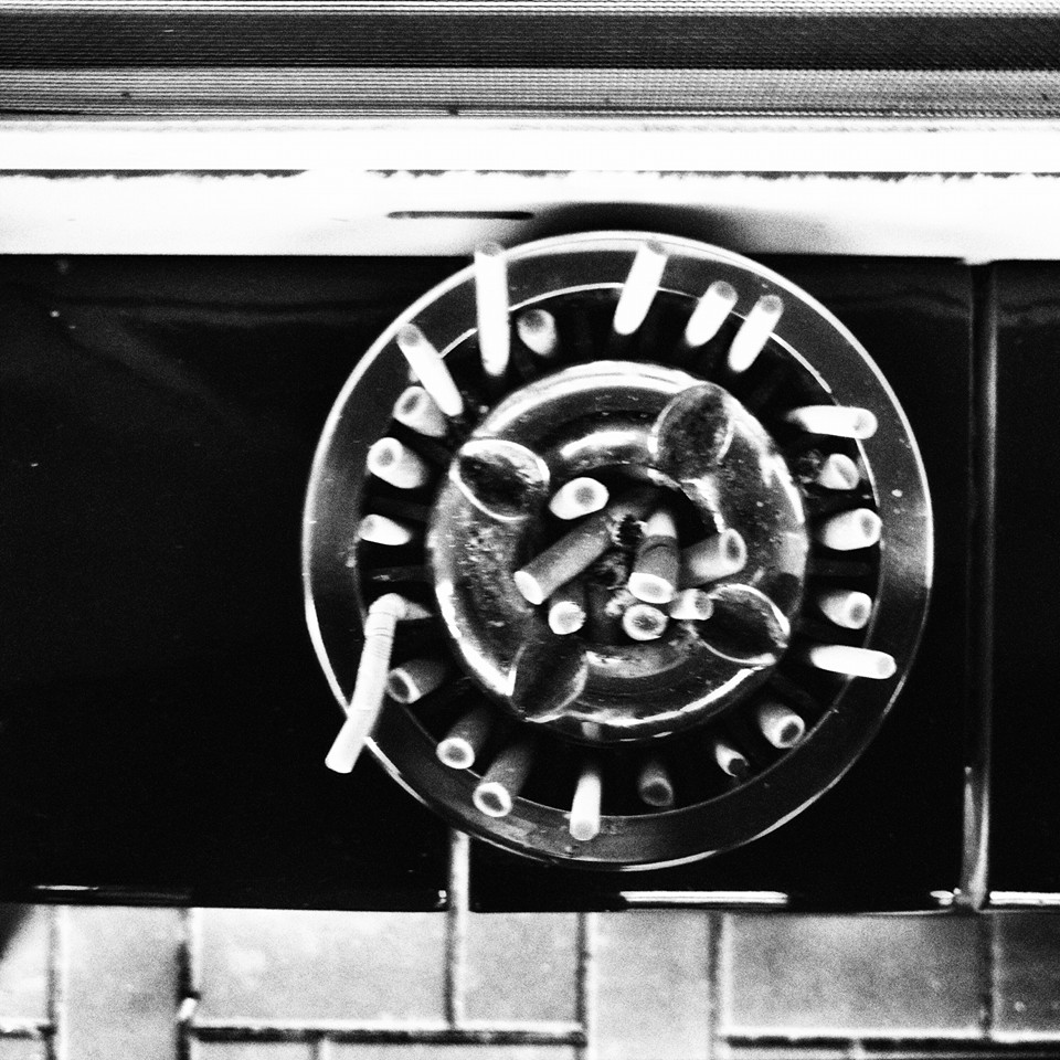 Mehr über den Artikel erfahren Landschaft bei Hannover