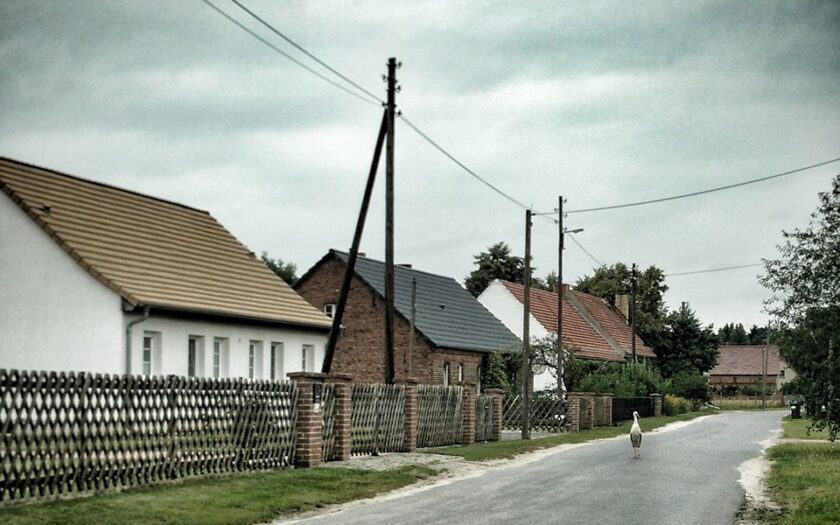 Storch auf Dorfstraße. Foto: Hufner