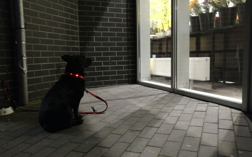 Information 1962. Foto: Hufner