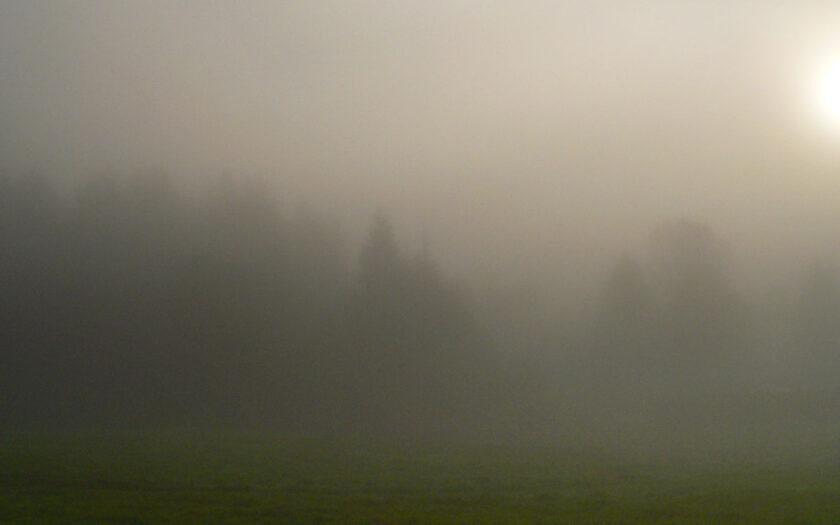 Im Nebel. Foto: Hufner