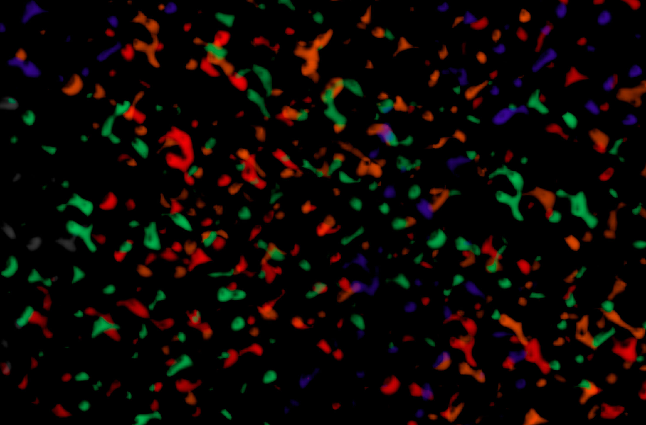 Mehr über den Artikel erfahren 2017 – Das Dumme spricht weiter