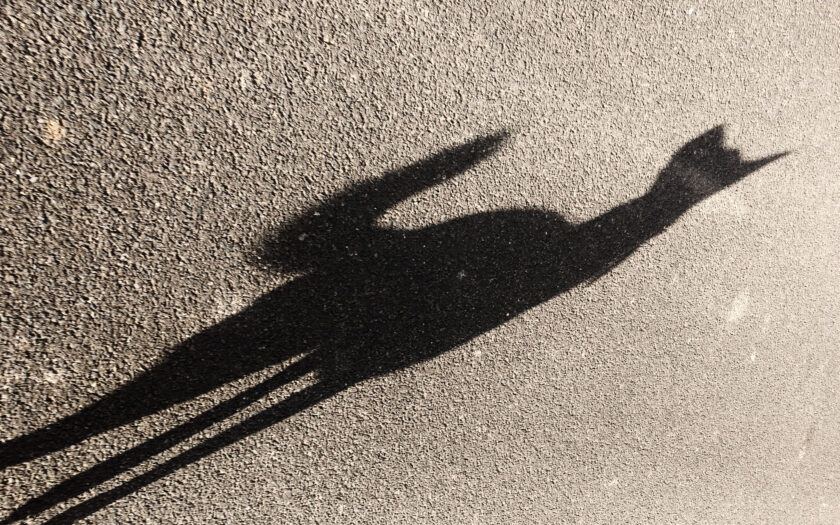 Schatten. Foto: Hufner