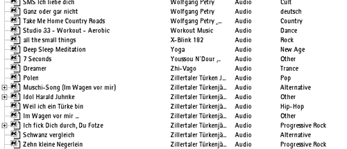 KaZaA-Bedienoberfläche zeigt alle zum Tausch angebotenen Dateien eines Nutzers an.