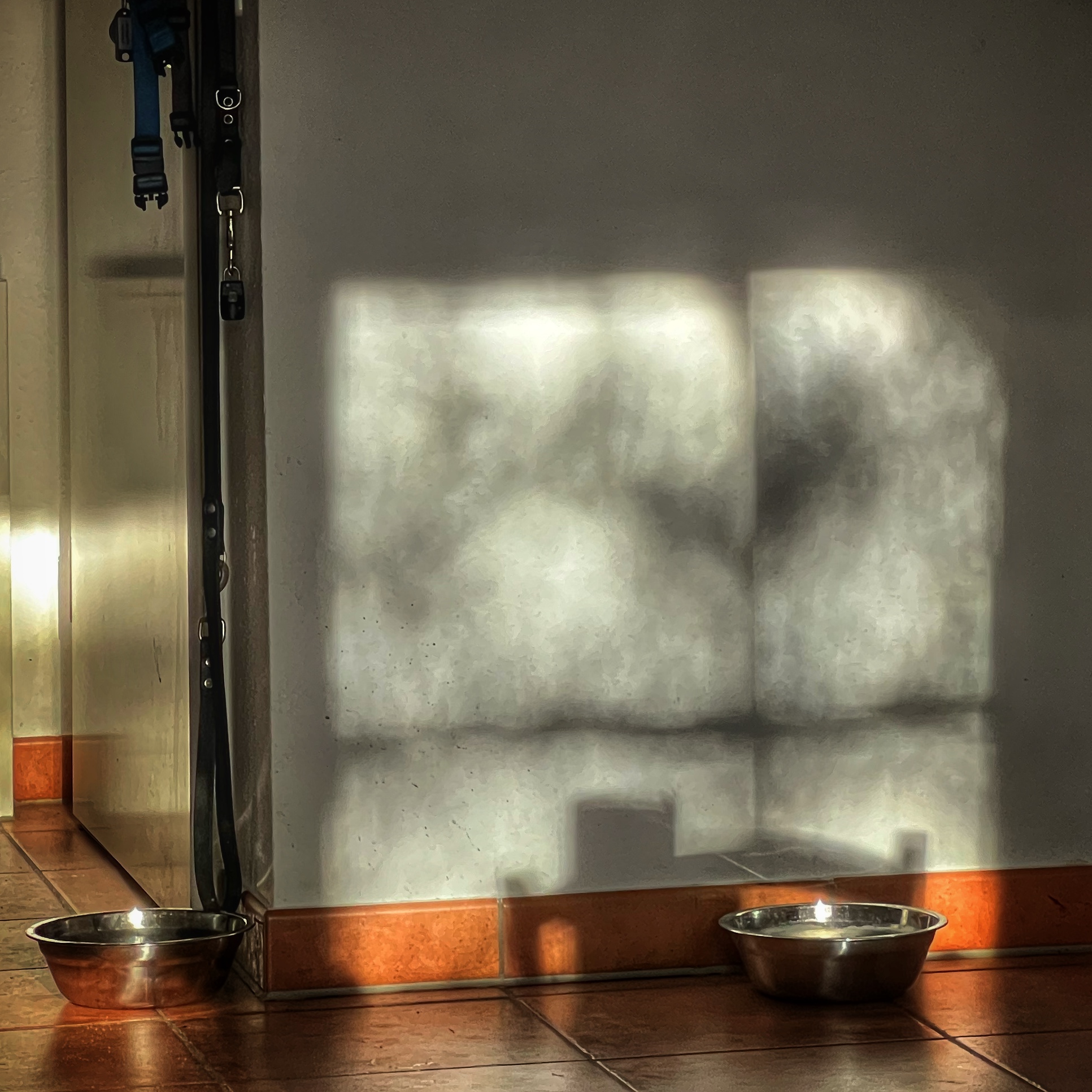 Mehr über den Artikel erfahren Die sozialen Medien / Störungen der KI / Der Spaß und die Leidenschaft