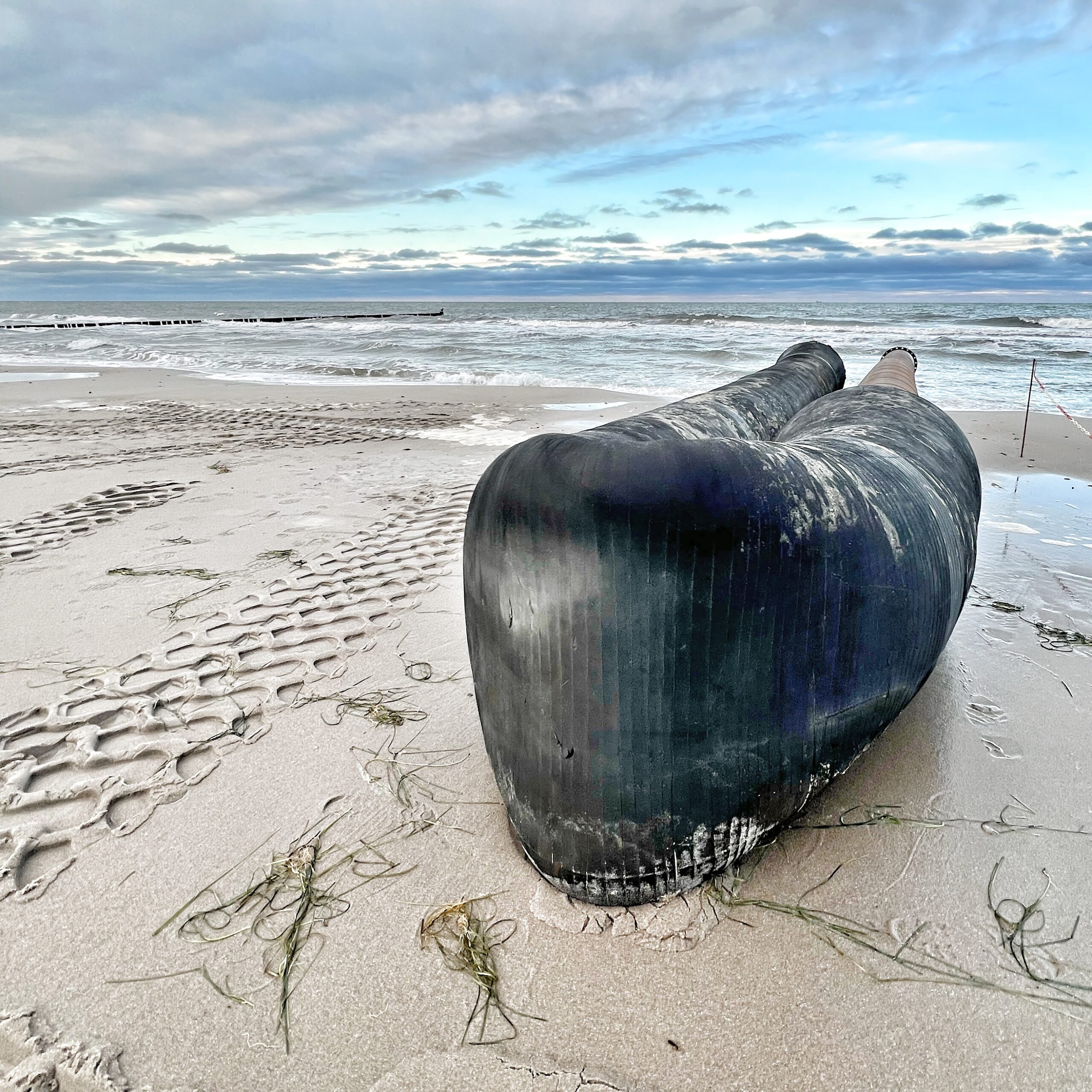 Mehr über den Artikel erfahren Die Kälte, das Innere, die Steuer