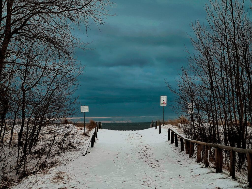 Strandübergang 7. Krabbe. Foto: Hufner Strandübergang 7. Krabbe. Foto: Hufner