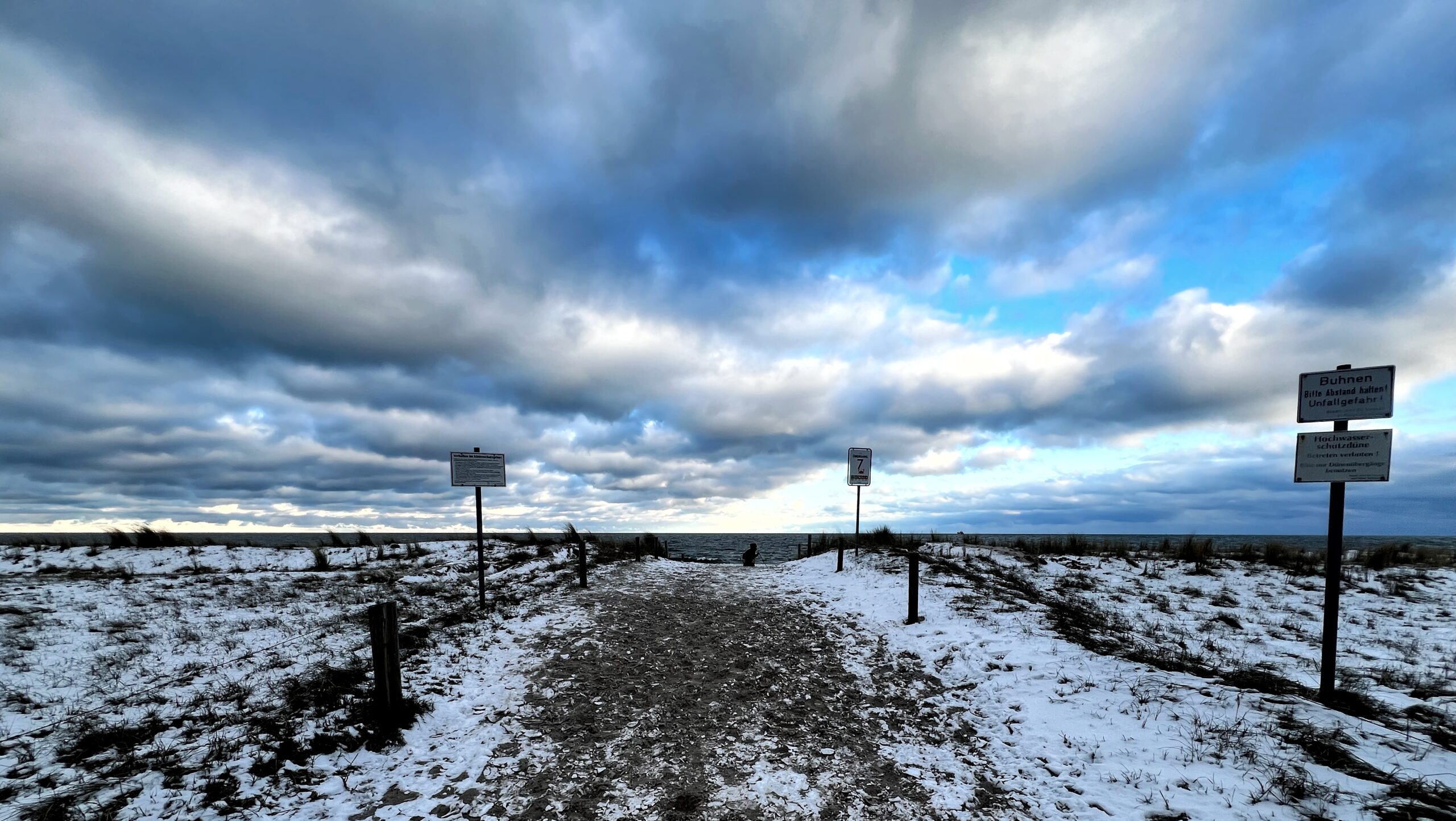 Mehr über den Artikel erfahren Auf 180: Die KI, Coco 746, der Aufstand, der Billroth