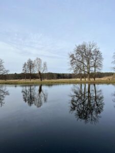 Am Havel-Oder-Kanal. Foto: Hufner