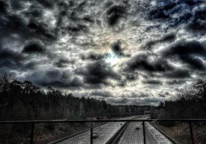 An der Autobahn im Forst Düppel/Wannsee. Foto: Hufner