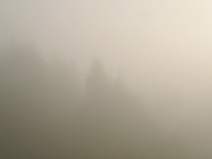 02 19 nebel sehr schön