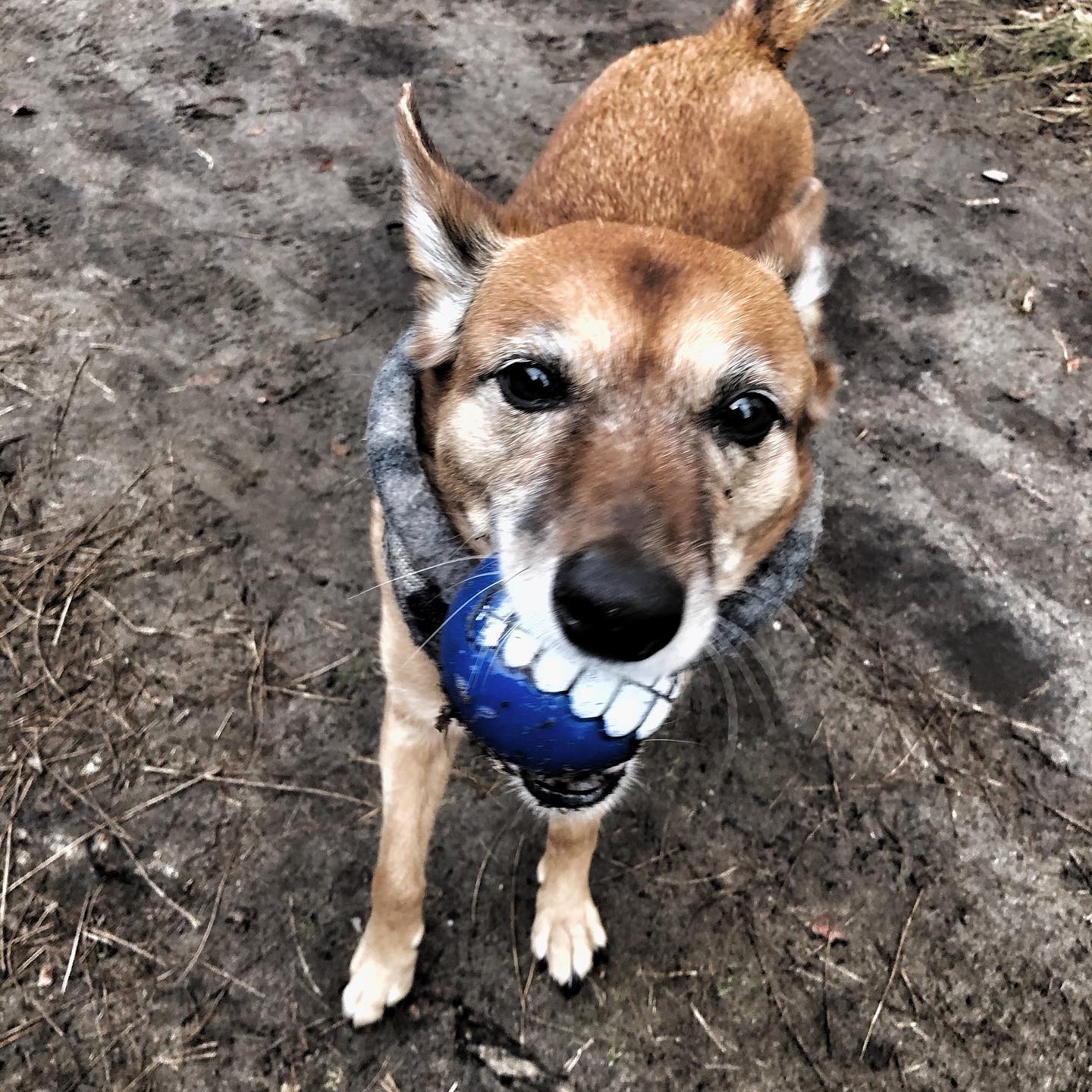 Mehr über den Artikel erfahren Neue Taktik, sechs Jahre alt, überholt?