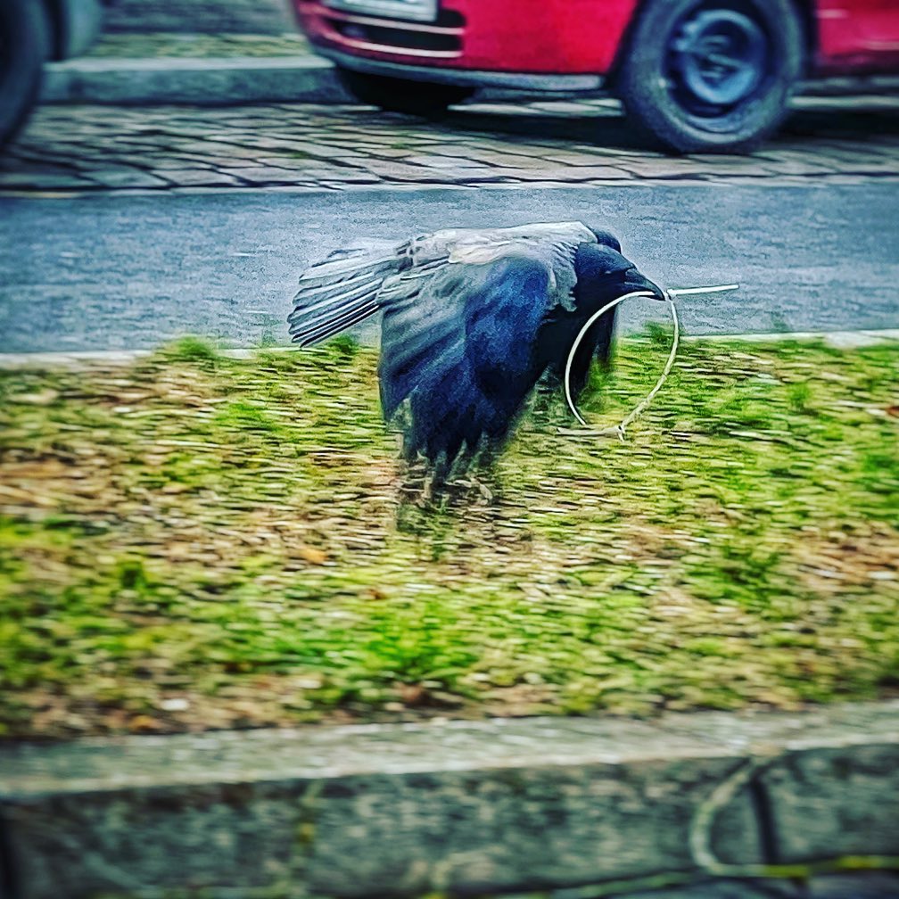 Aufräum-Vogel in Teltow. Foto: Hufner