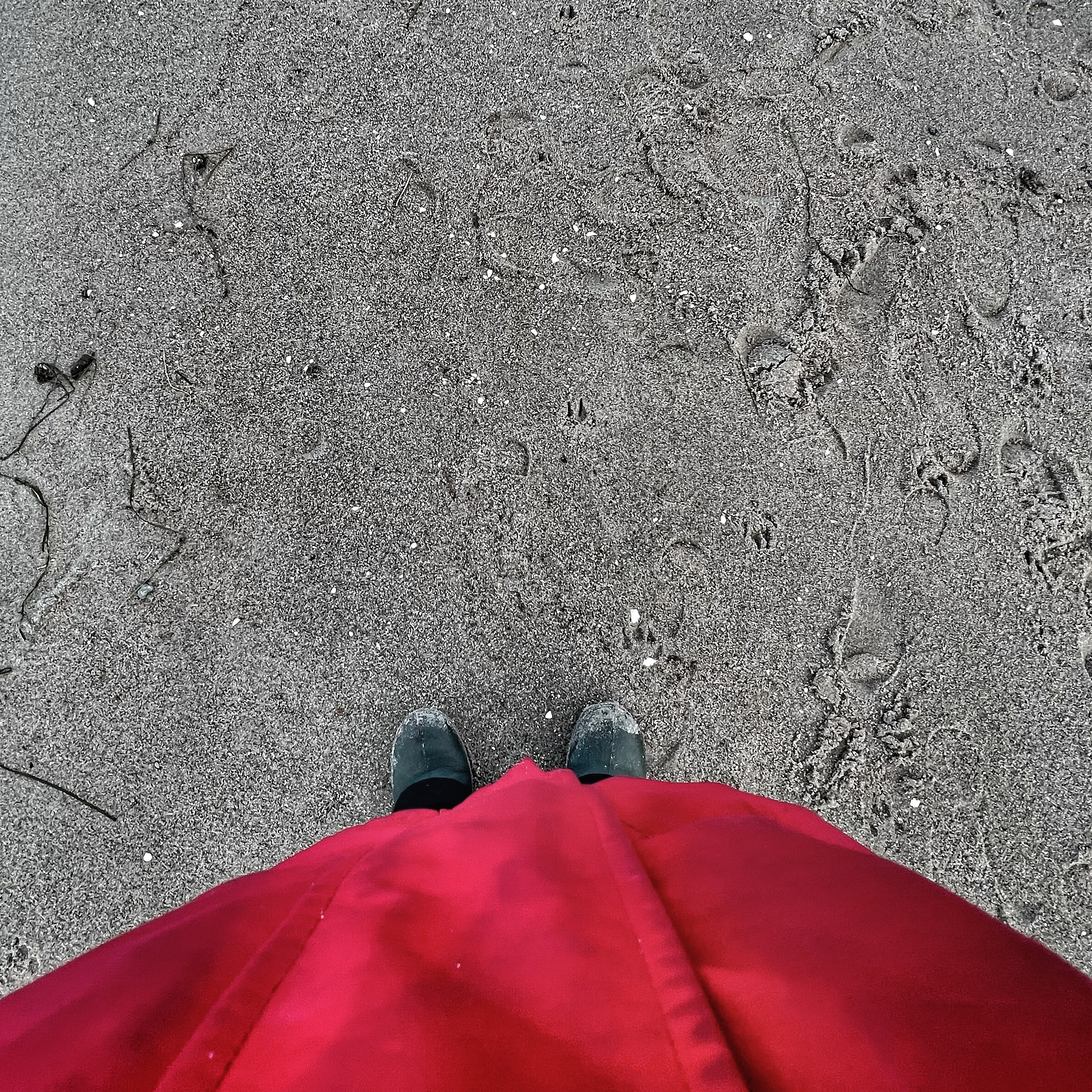 Mehr über den Artikel erfahren SWR2 wird zu SWR Kultur / Ketchup statt Adorno / Spätwerk längst vollendet