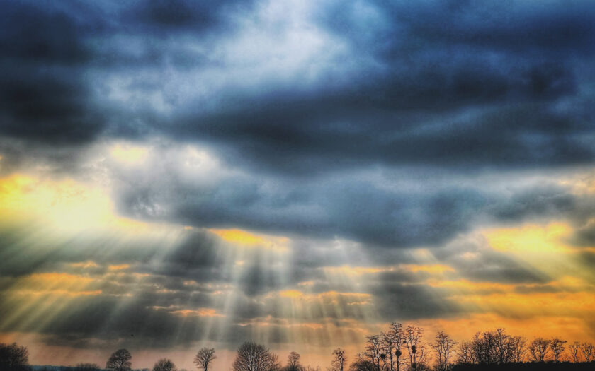 Übersättigter Nachmittag auf den Rieselfeldern. Foto: MH