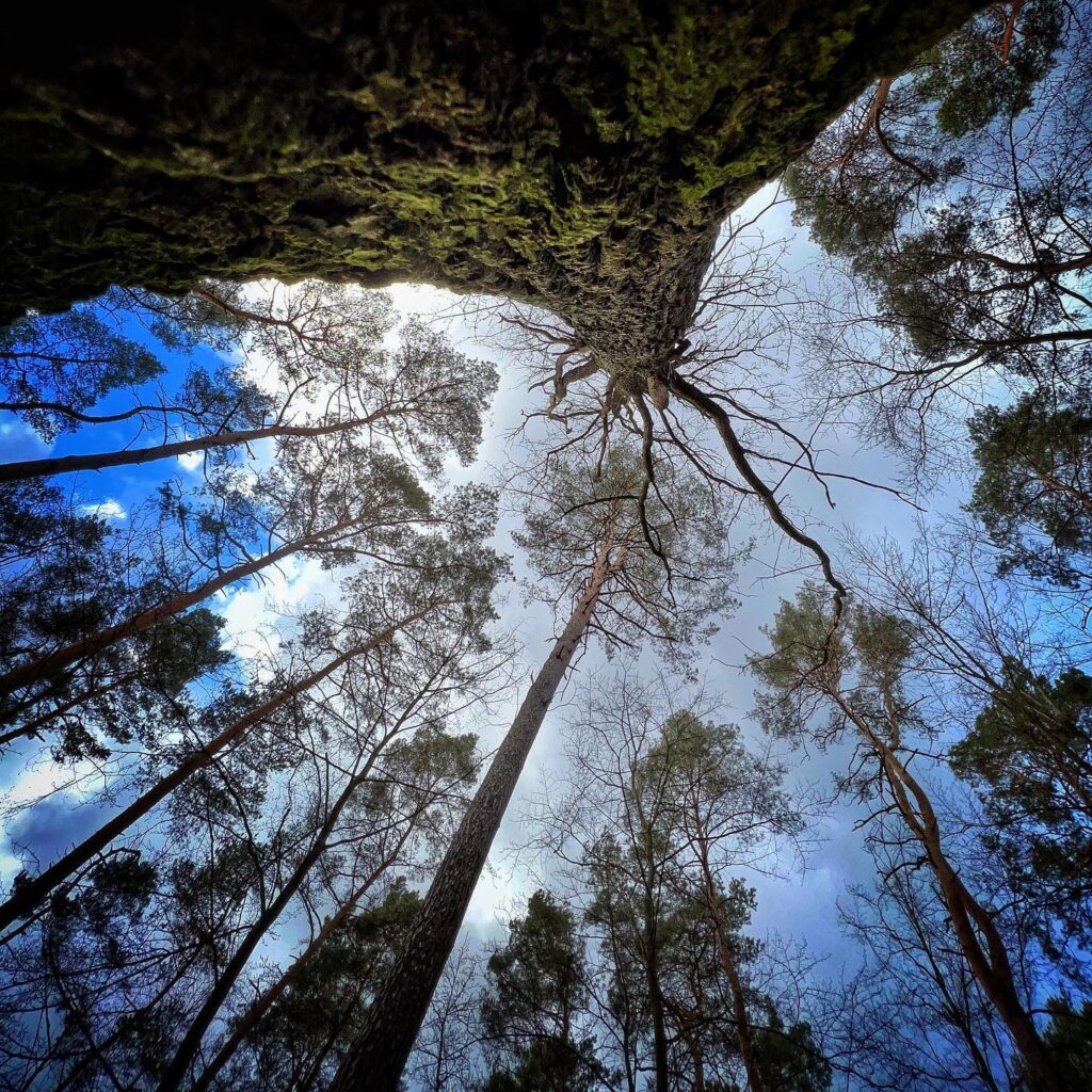 Der Himmel hängt voller Himmel. Hier auf Erden, leider viel Hölle. © MH