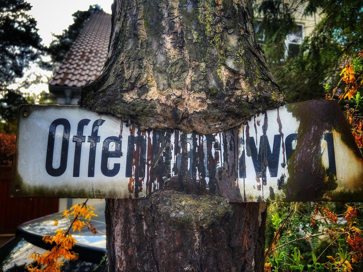 Mehr über den Artikel erfahren Dauerbrüchiger Klassik-Journalismus / Philosophen-Tofu / Jazz 1916 /