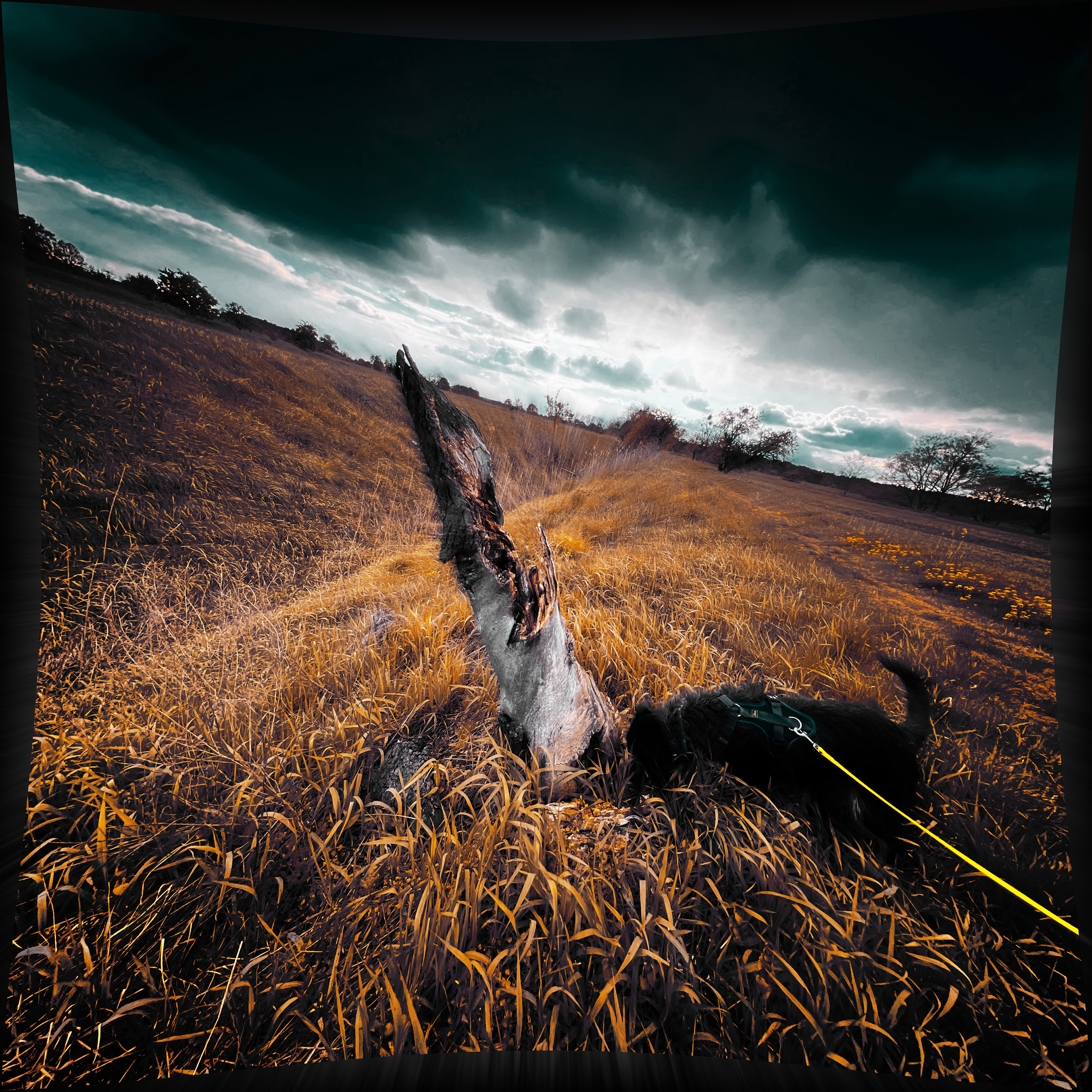 Mehr über den Artikel erfahren Things to come / Bloch sagt … / Kauderwelsch AI / Evaluation: Kulturpass für 18-Jährige