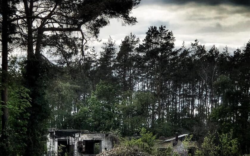 The Jungle Of Kleinmachnow. © MH