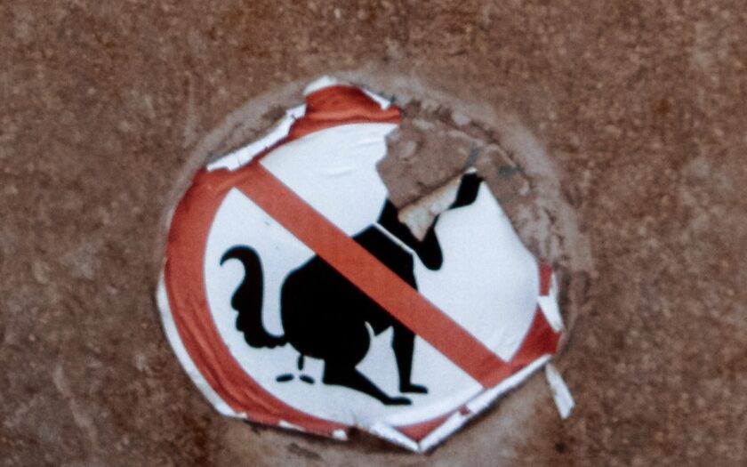 Was Berlin gebraucht hätte, wäre eine Datschenschutzgrundverordnung gewesen! #DSGVO © MH