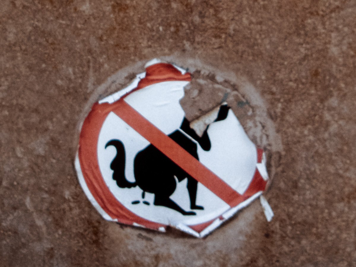 Mehr über den Artikel erfahren Rezensionsblüten in der Musikwissenschaft