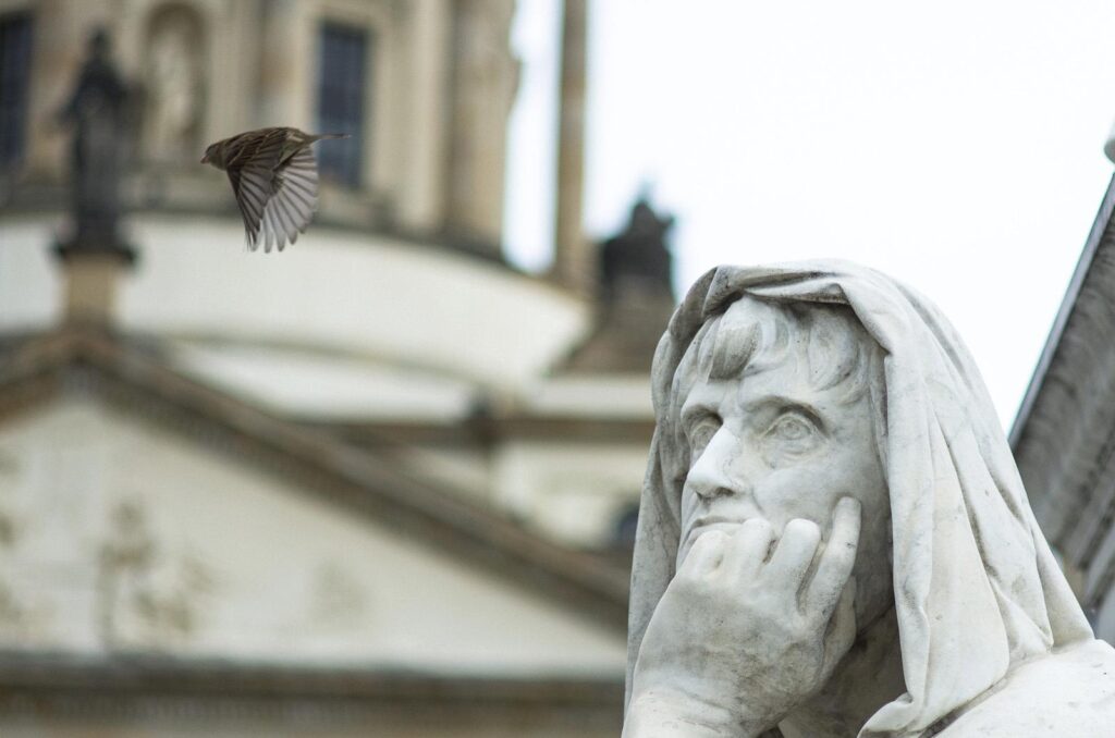 Vogel ins Freie. Foto © Martin Hufner