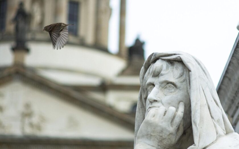 Vogel ins Freie. Foto © Martin Hufner